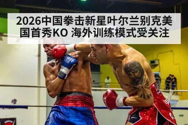 boxer knockout punch | pgdianzi