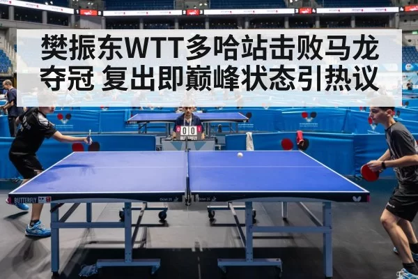 table tennis match | pgdianzi
