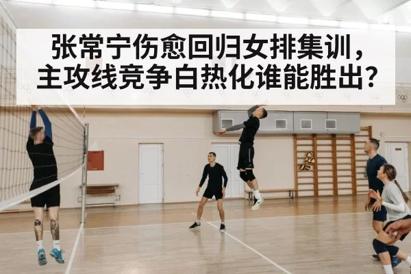 volleyball player training | pgdianzi